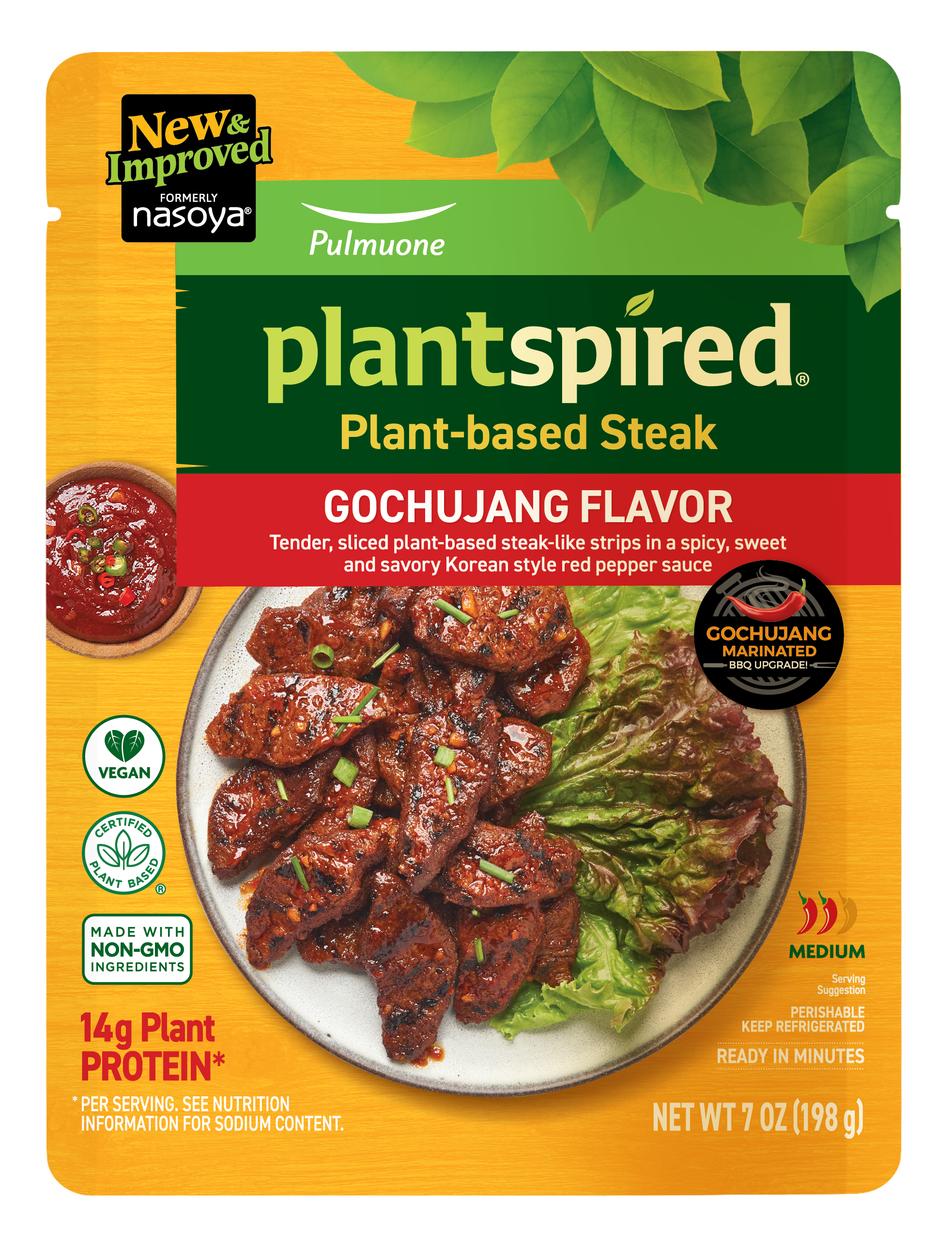 Plantspired Gochujang Plant-Based Steak package