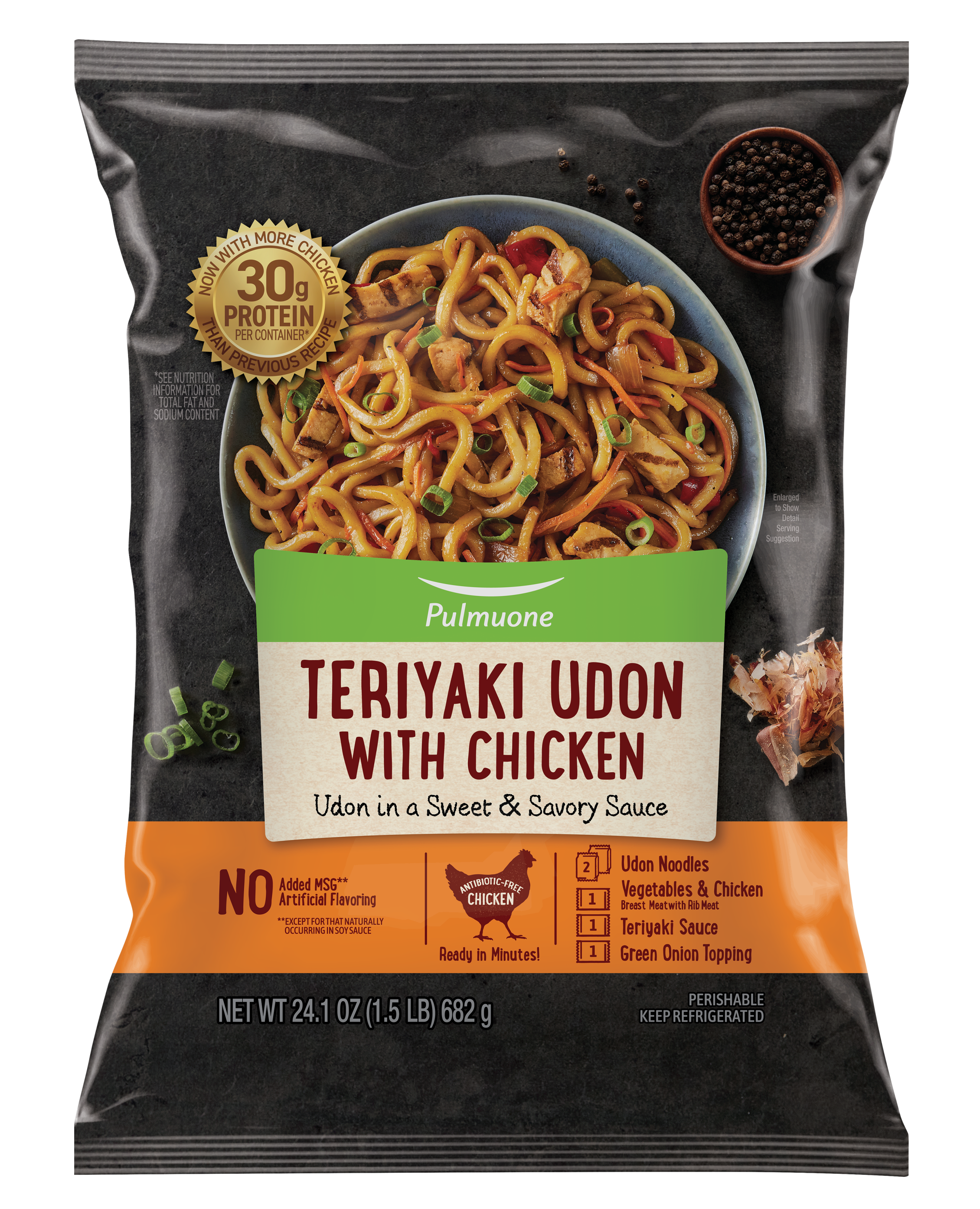 PMO Teriyaki Udon w Ckn RENDER Mar28-25