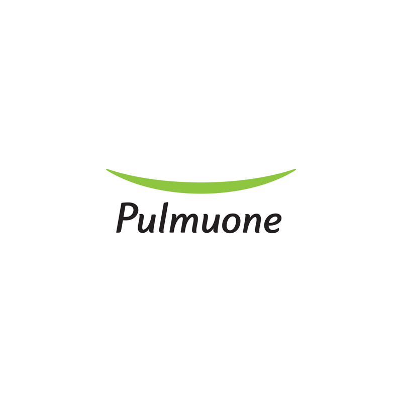 Pulmuone logo